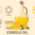 Canola 1200x628 신경내분비종양,유암종,직장,췌장,일반암,보험금 심혈관에 좋다는, 카놀라유가 부작용으로 치매를 유발하다니