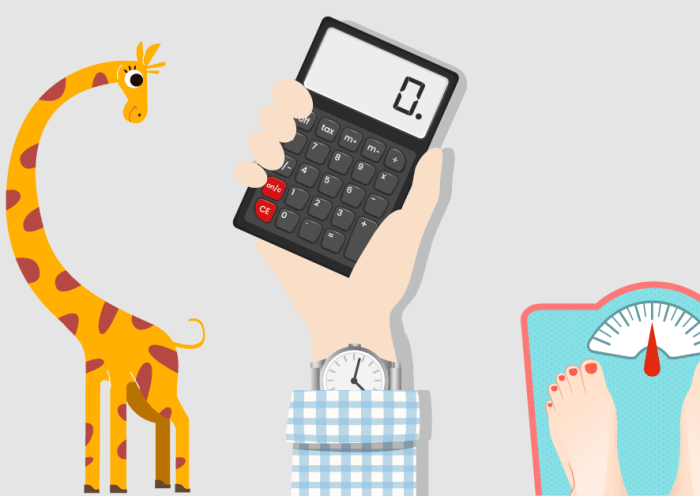 보험나이, 만나이, 상령일, 연령별 성별 표준 키, 표준 몸무게 계산기 1 만나이 보험나이 계산기 표준 키 표준 몸무게